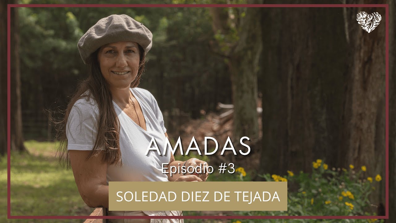 Sole Diez de Tejada — entrevista AMADAS